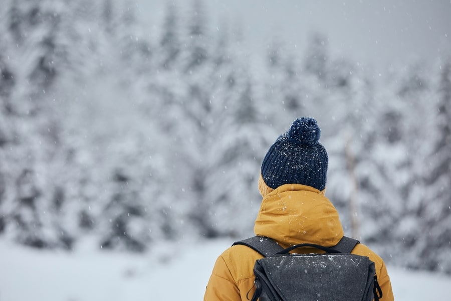 Rear View of a Man in a Winter Work Jacket