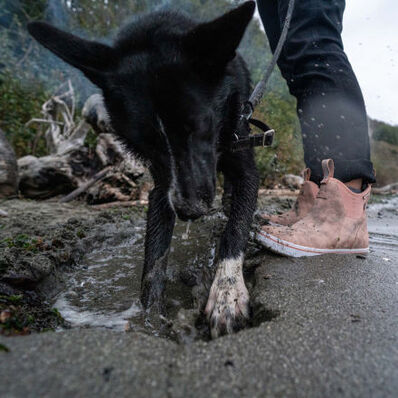 Xtratuf Women's Leather 6" Waterproof Ankle Deck Work Boot -Pink- XWAL400 - Overlook Boots