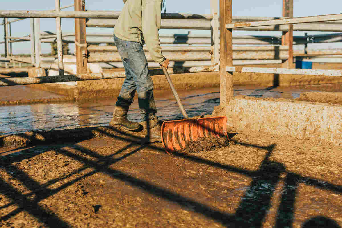 a man cleans the floor of a livestock farm in farm boots
