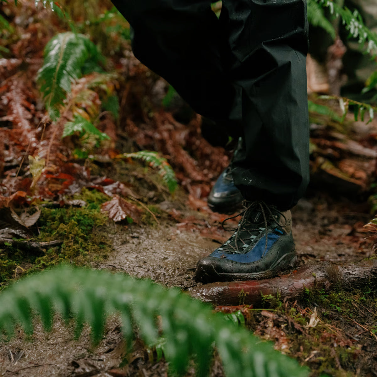 Danner Men's N45 GTX 3" WP Lace Up Hike Boot- Black/Blue- 32882 - Overlook Boots