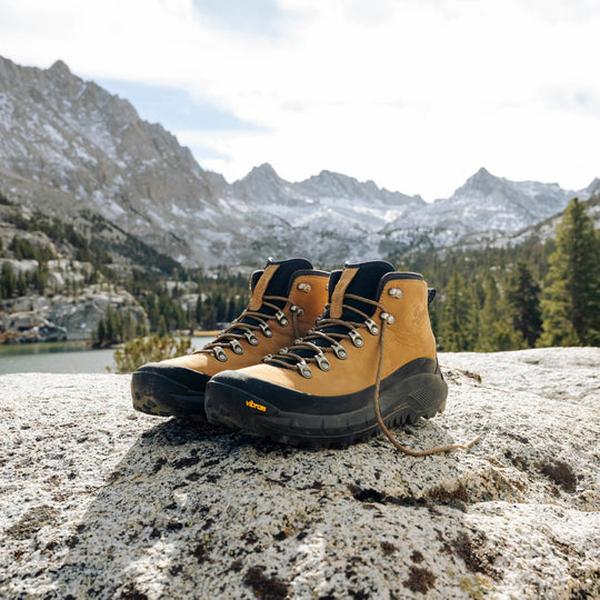 Danner Men's MTN45 Mid GTX Waterproof Hiking Boot - Brown - 32887