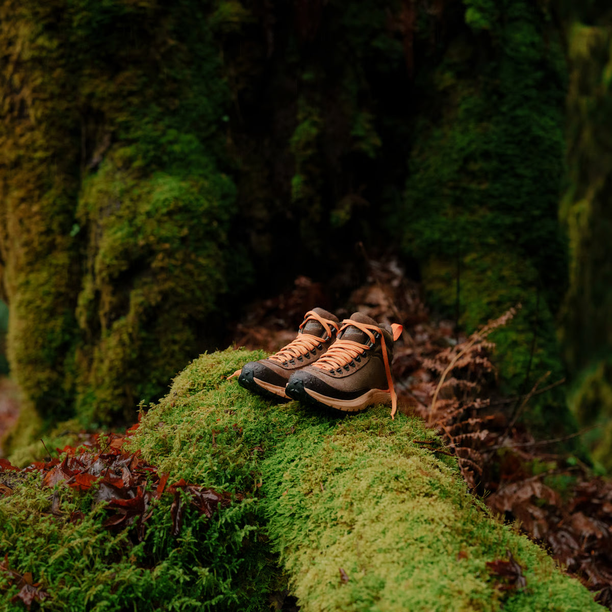 Danner Women's Trail Trainer 4" WP Hike Boot - Brown/Orange- 65450 - Overlook Boots