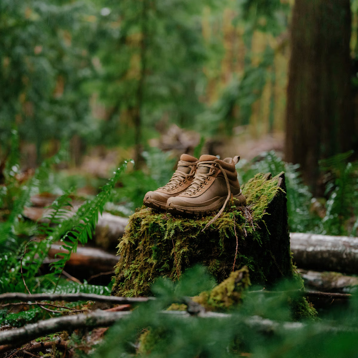 Danner Men's Trail Trainer 4" Waterproof Hike Boot - Coyote - 65456 - Overlook Boots