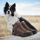 Danner Men's Radical 451 5" Waterproof Hiking Boot - Brown - 65502
