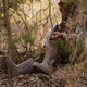 Muck Alpha Pursuit Men's 15" Waterproof Snake Boot - Camo - MTPMBTM