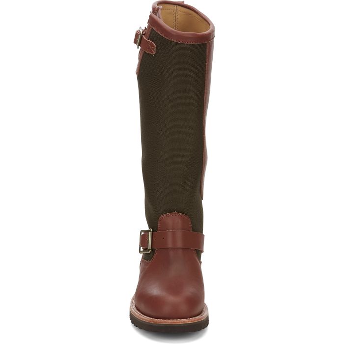 Chippewa Women's Sunjo 15" Soft Toe Outdoor Snake Boot- Brown - SN6913  - Overlook Boots
