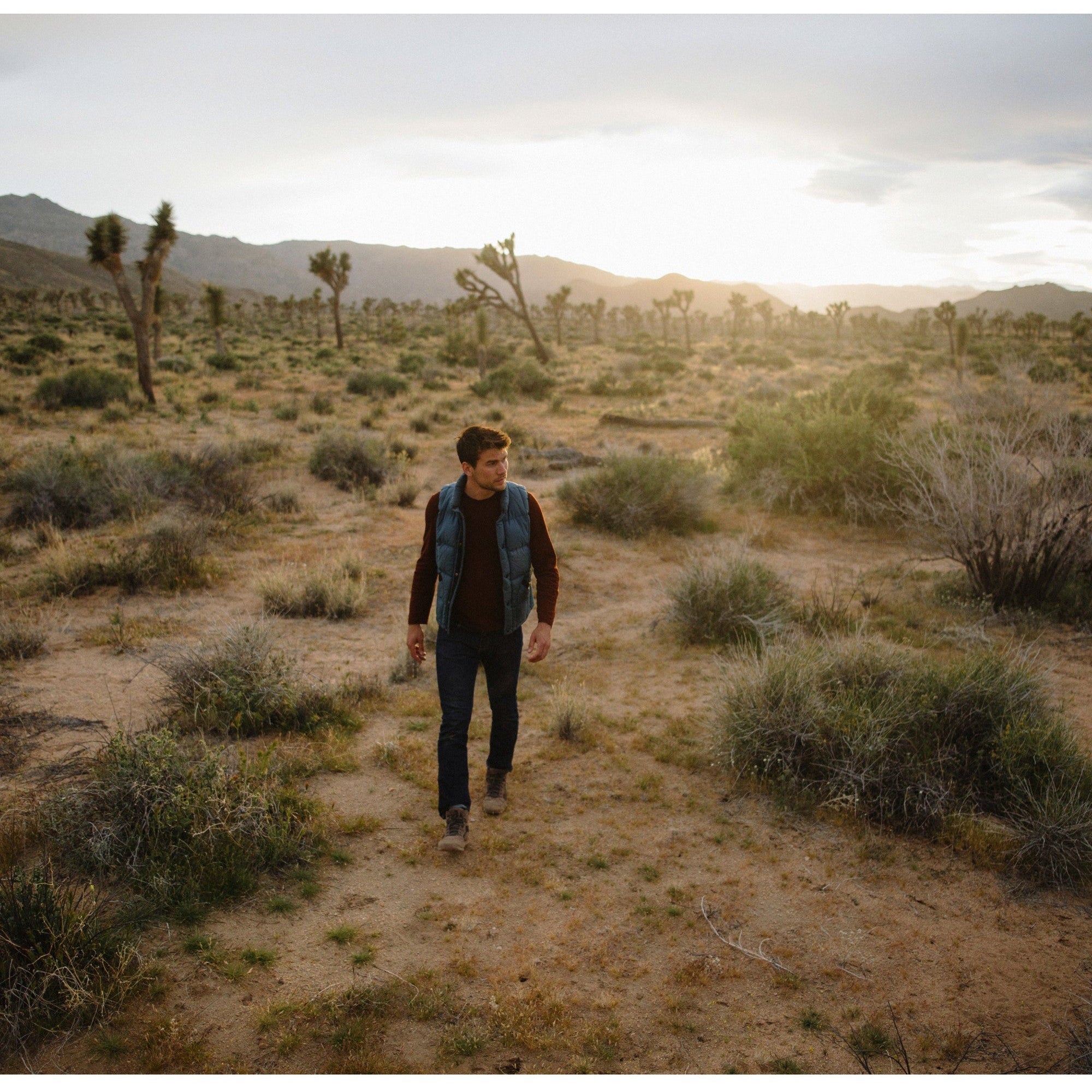 Danner Men's Skyridge 4.5" Waterproof Hiking Shoe - Dark Earth - 30162 - Overlook Boots