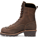 Carolina Men's Birch 8" Composite Toe Waterproof Logger Work Boot - Brown - CA7522 - Overlook Boots