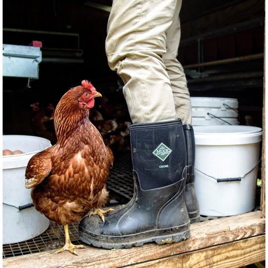 Muck Men's Chore Mid 12" Waterproof Rubber Work Boot - Black - CHM-000A - Overlook Boots